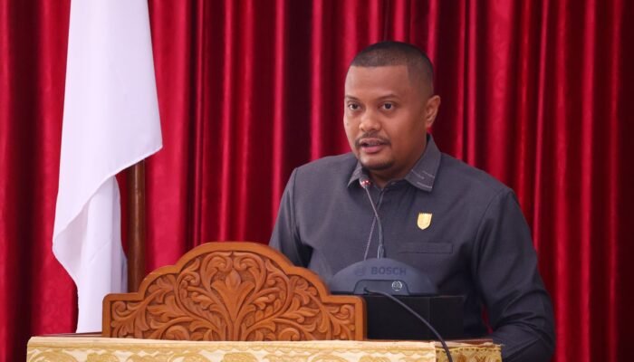 DPRD Payakumbuh Sorot Rencana Beli Mobil Listrik, Penuhi Dulu Kebutuhan P3K