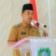 Benahi PMI Pasaman, Wabup Parulian Tegaskan, Stok Darah Harus Selalu Aman