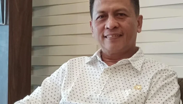 Anggota DPRD Agam Syafril Dt Rajo Api Ucapkan Terimakasih TMMD di Palupuh