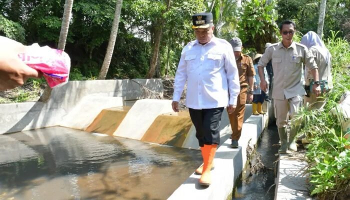 Bupati Agam Benni Warlis Kunjung Lapangan ke Baso, Perkuat Pangan