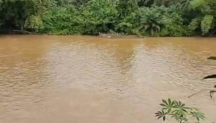 Tambang Emas Ilegal Gelugur Bakal  Rusak Hubungan Baik Kampar & Limapuluh Kota