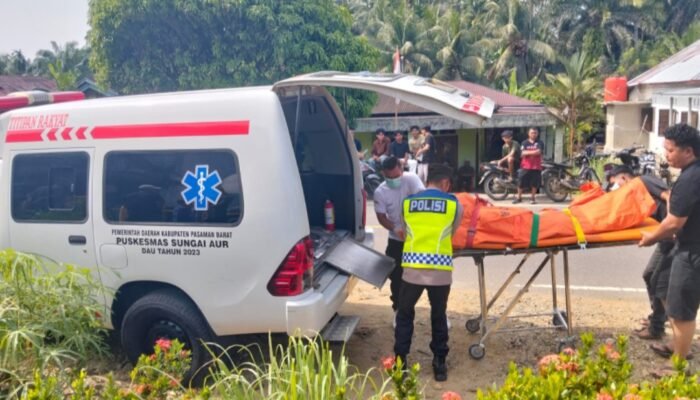 Lelaki “H”Diringkus Polisi, Diduga Aniaya Ibu Kandung, dan Nenek Hingga Tewas