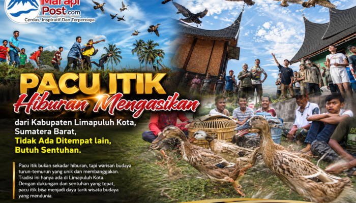 Pacu Itik, Hiburan Mengasikan Kabupaten Limapuluh Kota, Butuh Sentuhan
