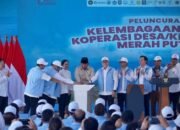 Waspadai Hoaks Larangan Toko di Sekitar Kopdes Merah Putih, Pemerintah Pastikan Usaha Warga Tetap Dilindungi
