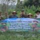 Pemda Tanah Datar dan Kejaksaan Panen Raya Bawang Merah di Sawah Tangah