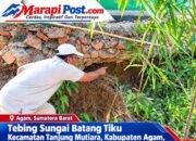 Tebing Sungai Batang Tiku Makin Terkikis, SD Negeri 08 Durian Kapeh Terancam