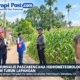 Sawah Tidak Dapat Air Bendungan Karena Bobol, Ditanami Petani dengan Jagung