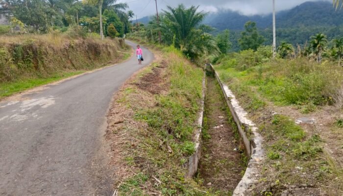 Paska Bencana, D.I Gumarang Rusak Berat, Ratusan Ha Sawah Kehilangan Sumber Air