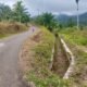Paska Bencana, D.I Gumarang Rusak Berat, Ratusan Ha Sawah Kehilangan Sumber Air