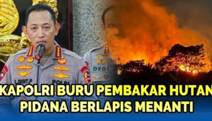 Penanganan Karhutla Diperkuat, Penegakan Hukum Dipastikan Transparan dan Tegas
