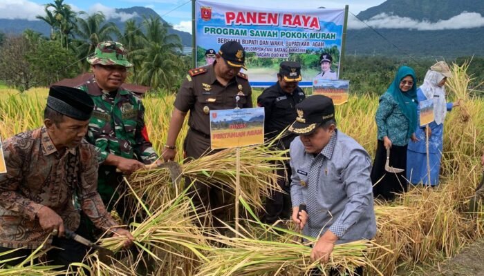 TAJUK Marapi Post; Menakar Arah Inovasi: Catatan Strategis Evaluasi Program Sawah Pokok Murah Kabupaten Agam