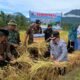 TAJUK Marapi Post; Menakar Arah Inovasi: Catatan Strategis Evaluasi Program Sawah Pokok Murah Kabupaten Agam