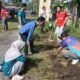 Goro di Pantai Arta Permai, Pemkab Pd. Pariaman Dorong Kebangkitan Pariwisata