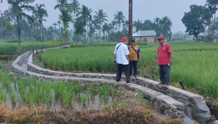Paska Bencana Hidrometereologi 2025, Koto Malintang Benahi Dua Titik Irigasi