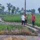 Paska Bencana Hidrometereologi 2025, Koto Malintang Benahi Dua Titik Irigasi